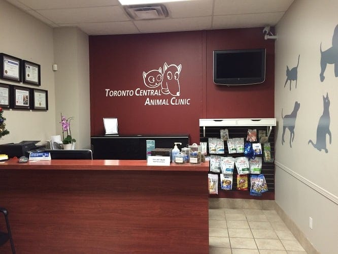 Emergency Services Toronto Central Vet